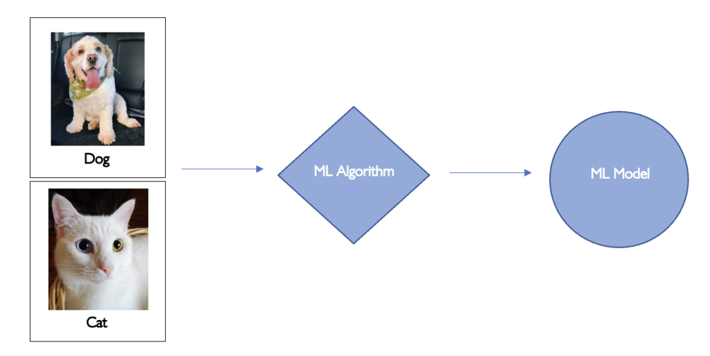 Training a ML Algorithm
