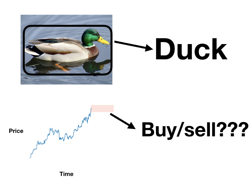 An AI determining whether an image is a duck (top) and an AI determining whether to buy or sell a stock from the price (bottom)
